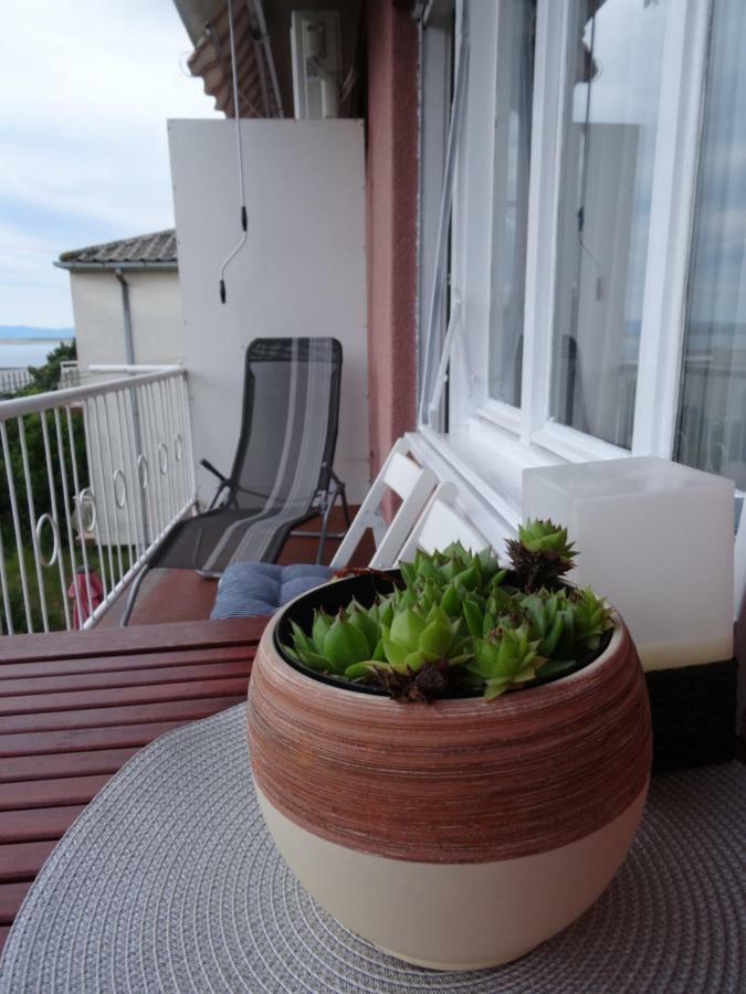 Anita Apartment